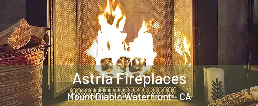 Astria Fireplaces Mount Diablo Waterfront - CA
