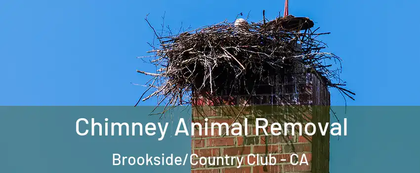 Chimney Animal Removal Brookside/Country Club - CA