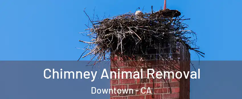 Chimney Animal Removal Downtown - CA