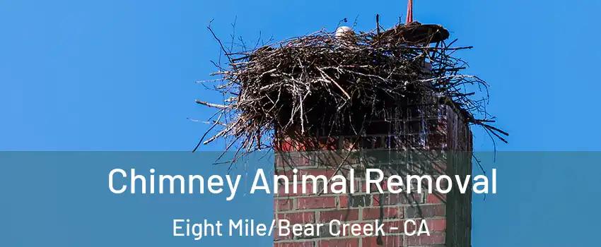 Chimney Animal Removal Eight Mile/Bear Creek - CA