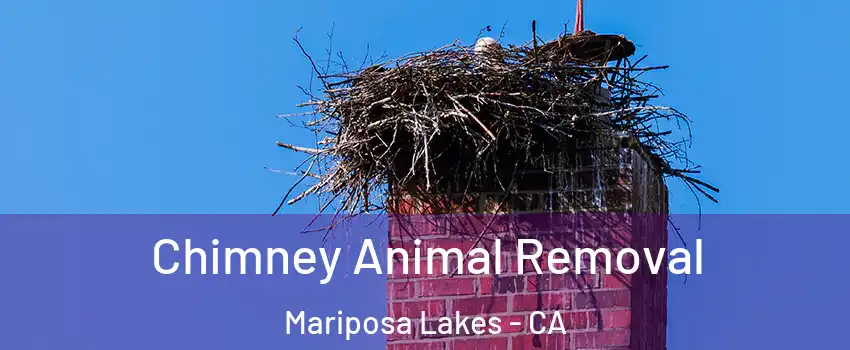 Chimney Animal Removal Mariposa Lakes - CA