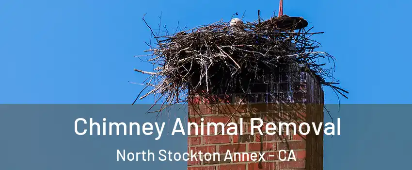 Chimney Animal Removal North Stockton Annex - CA