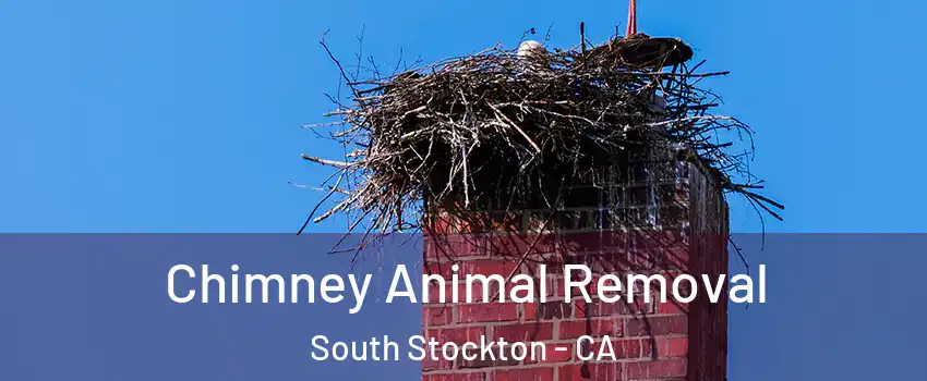 Chimney Animal Removal South Stockton - CA