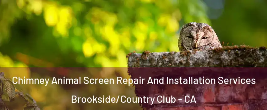 Chimney Animal Screen Repair And Installation Services Brookside/Country Club - CA