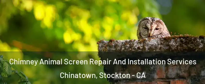 Chimney Animal Screen Repair And Installation Services Chinatown, Stockton - CA