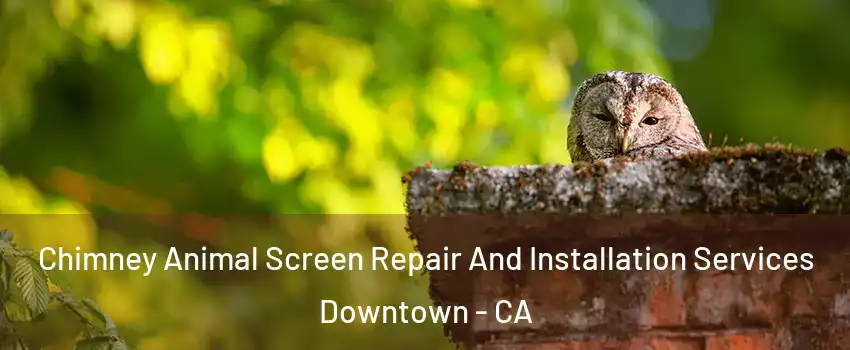 Chimney Animal Screen Repair And Installation Services Downtown - CA
