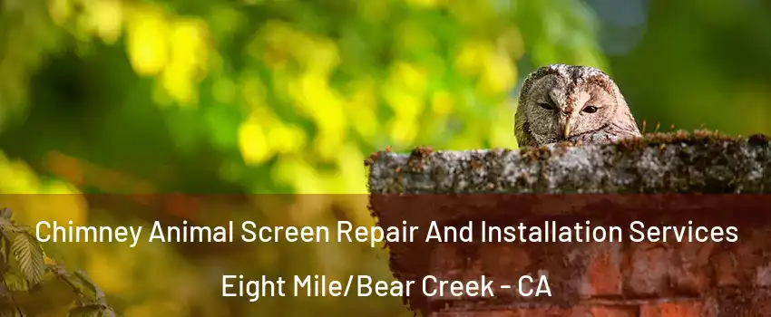 Chimney Animal Screen Repair And Installation Services Eight Mile/Bear Creek - CA