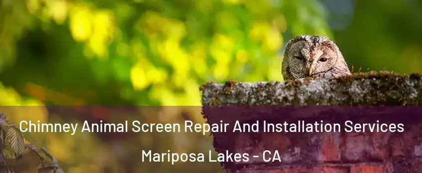 Chimney Animal Screen Repair And Installation Services Mariposa Lakes - CA
