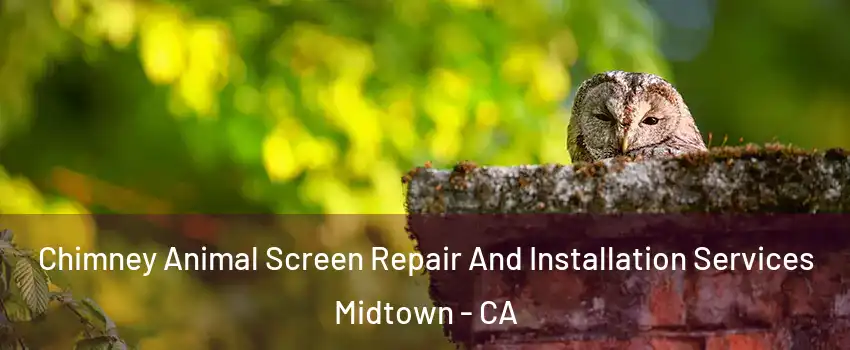 Chimney Animal Screen Repair And Installation Services Midtown - CA
