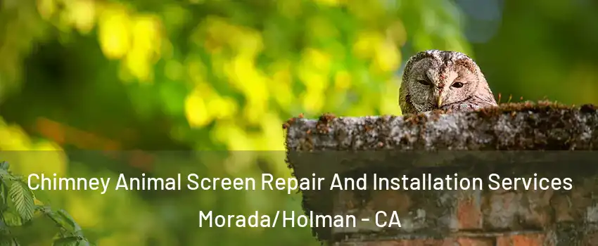 Chimney Animal Screen Repair And Installation Services Morada/Holman - CA