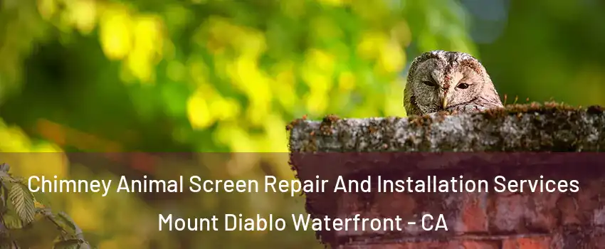 Chimney Animal Screen Repair And Installation Services Mount Diablo Waterfront - CA