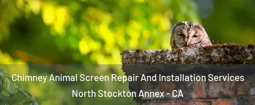Chimney Animal Screen Repair And Installation Services North Stockton Annex - CA