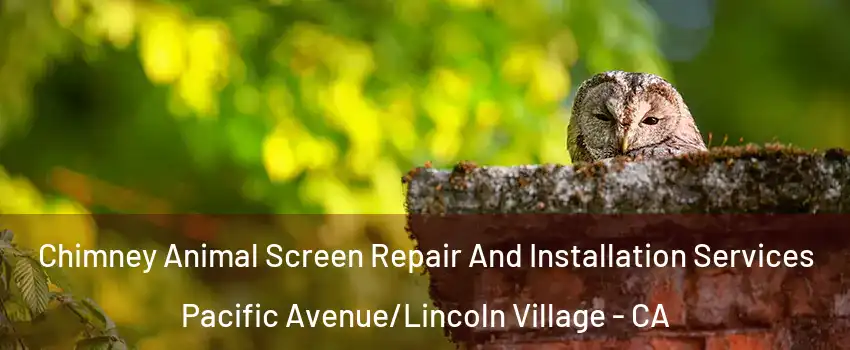 Chimney Animal Screen Repair And Installation Services Pacific Avenue/Lincoln Village - CA