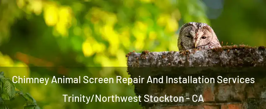 Chimney Animal Screen Repair And Installation Services Trinity/Northwest Stockton - CA