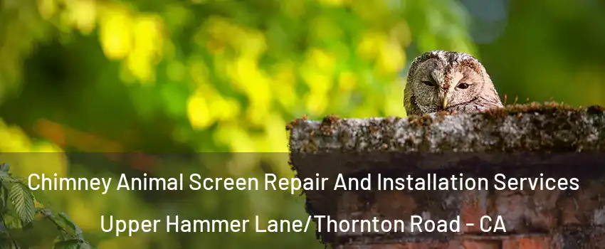 Chimney Animal Screen Repair And Installation Services Upper Hammer Lane/Thornton Road - CA