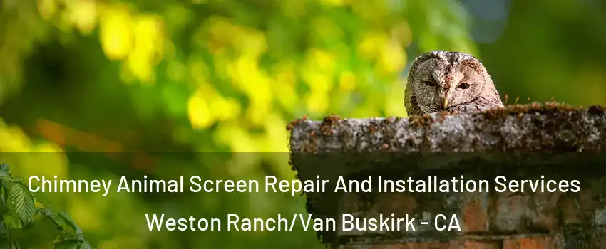 Chimney Animal Screen Repair And Installation Services Weston Ranch/Van Buskirk - CA