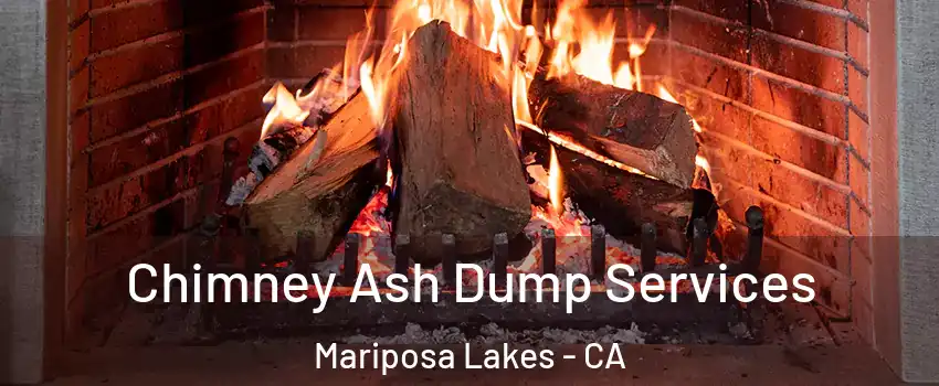 Chimney Ash Dump Services Mariposa Lakes - CA