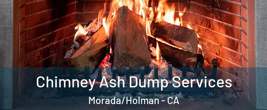 Chimney Ash Dump Services Morada/Holman - CA