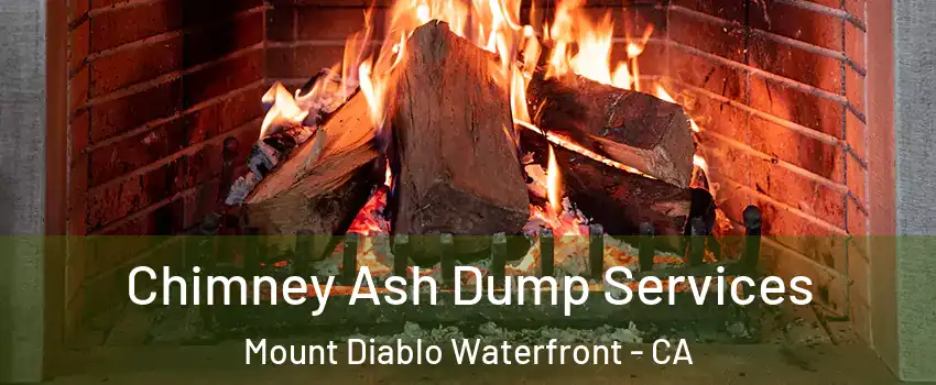 Chimney Ash Dump Services Mount Diablo Waterfront - CA