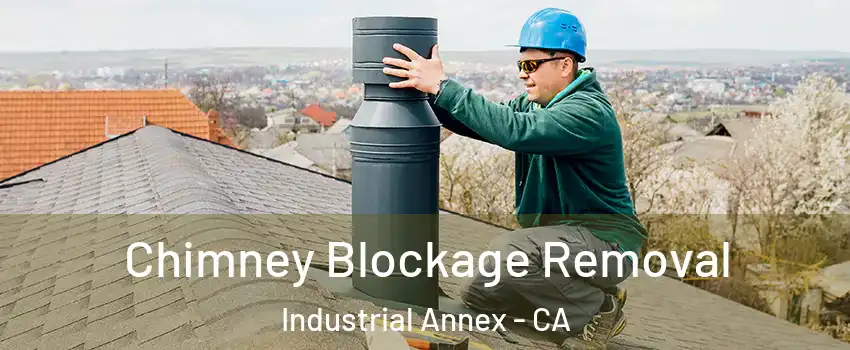 Chimney Blockage Removal Industrial Annex - CA