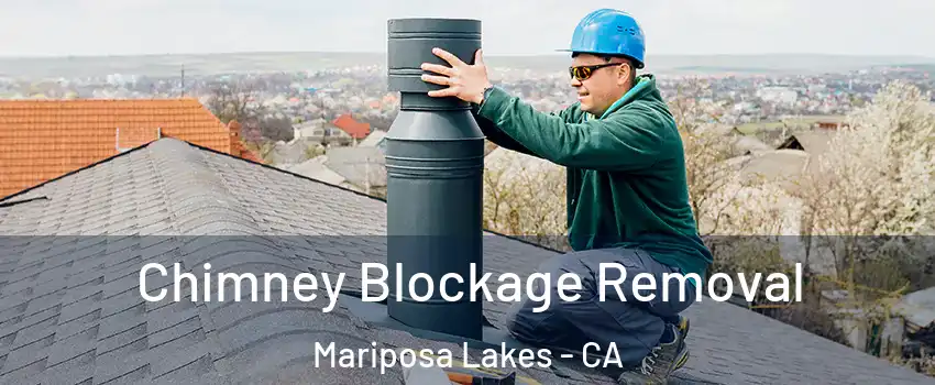 Chimney Blockage Removal Mariposa Lakes - CA