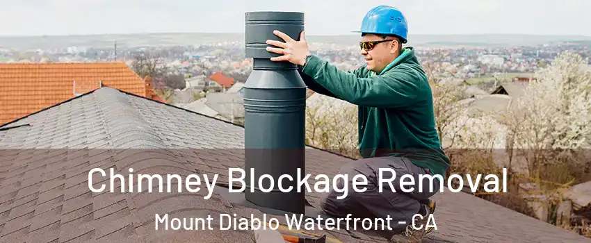 Chimney Blockage Removal Mount Diablo Waterfront - CA