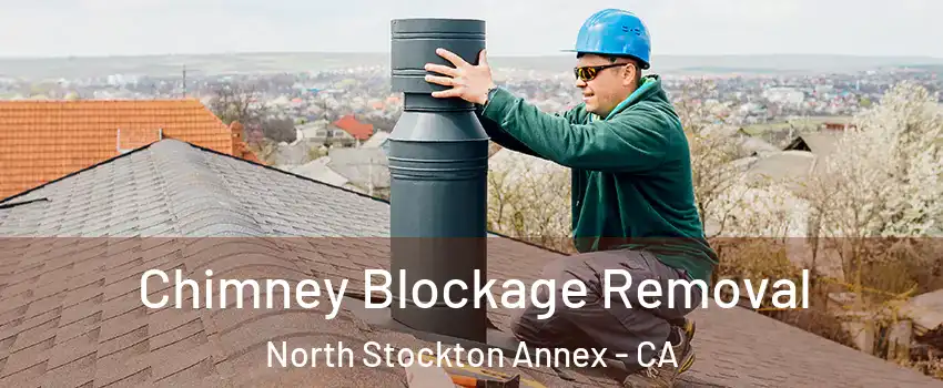 Chimney Blockage Removal North Stockton Annex - CA