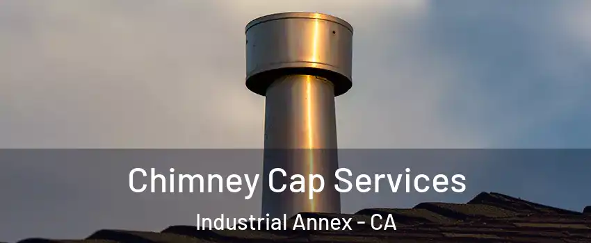Chimney Cap Services Industrial Annex - CA