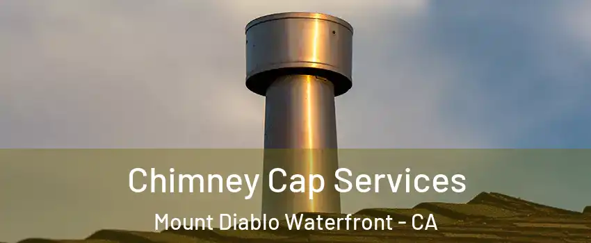 Chimney Cap Services Mount Diablo Waterfront - CA