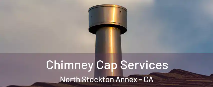 Chimney Cap Services North Stockton Annex - CA