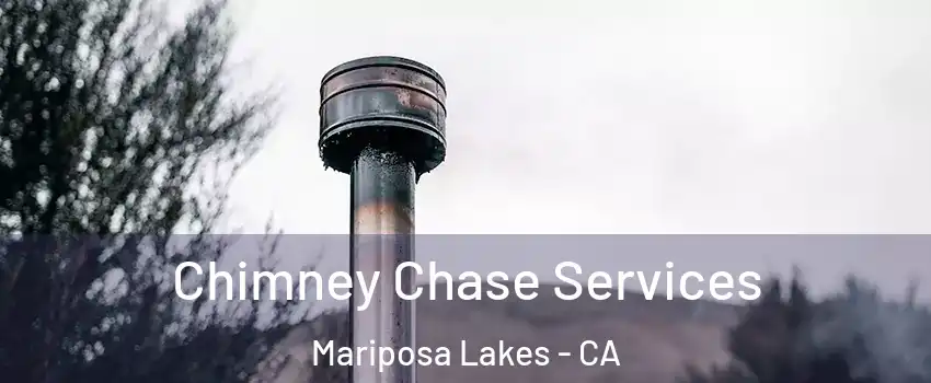 Chimney Chase Services Mariposa Lakes - CA