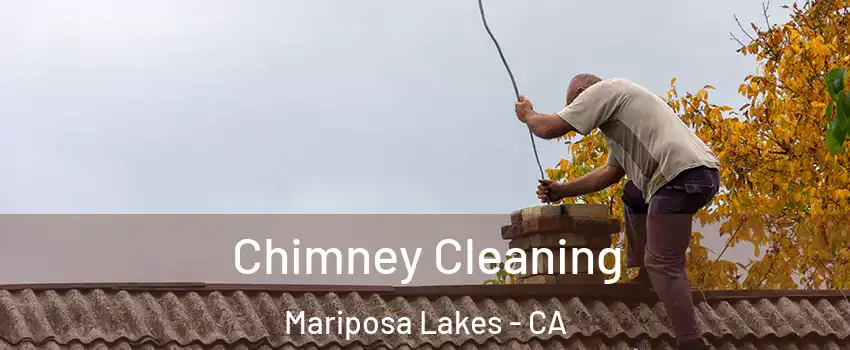 Chimney Cleaning Mariposa Lakes - CA