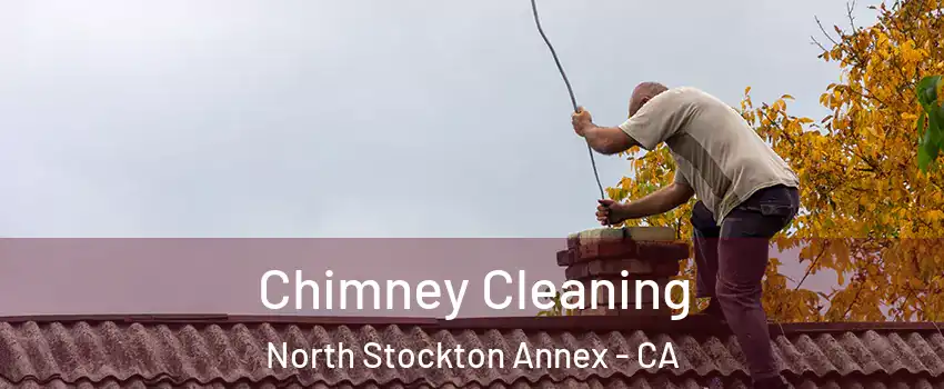 Chimney Cleaning North Stockton Annex - CA