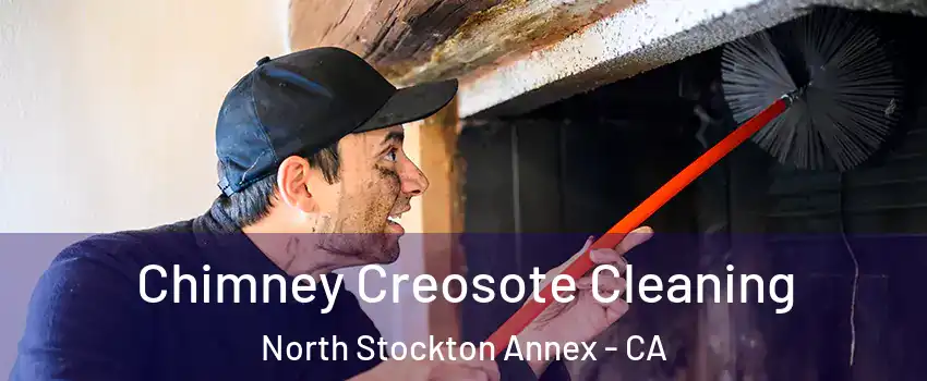 Chimney Creosote Cleaning North Stockton Annex - CA