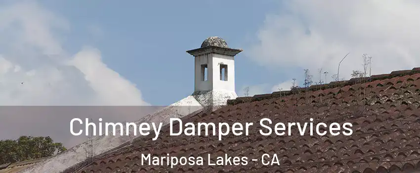 Chimney Damper Services Mariposa Lakes - CA
