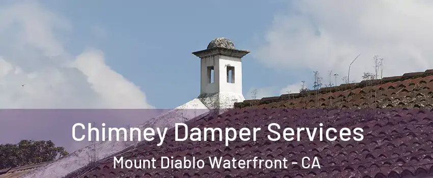 Chimney Damper Services Mount Diablo Waterfront - CA