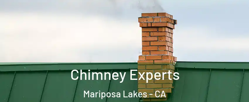 Chimney Experts Mariposa Lakes - CA
