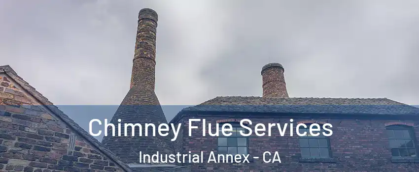 Chimney Flue Services Industrial Annex - CA