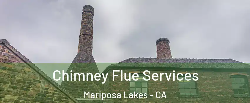 Chimney Flue Services Mariposa Lakes - CA