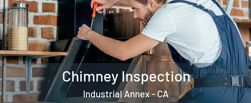 Chimney Inspection Industrial Annex - CA