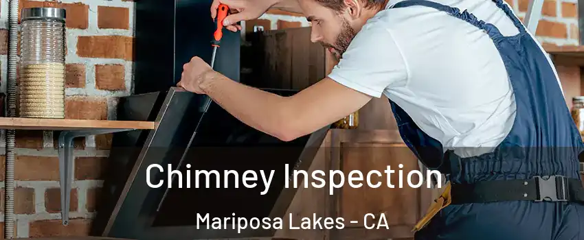 Chimney Inspection Mariposa Lakes - CA