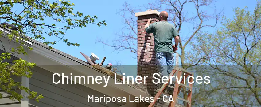 Chimney Liner Services Mariposa Lakes - CA