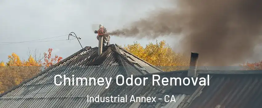 Chimney Odor Removal Industrial Annex - CA