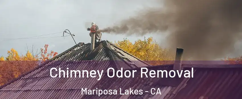 Chimney Odor Removal Mariposa Lakes - CA