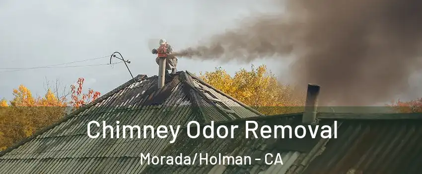Chimney Odor Removal Morada/Holman - CA