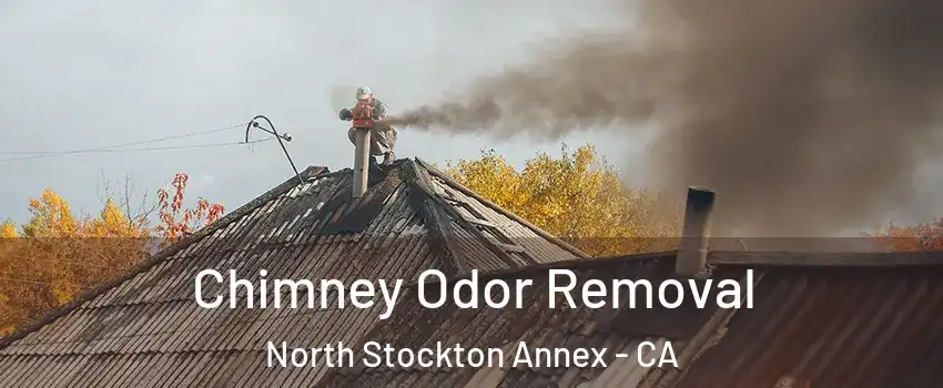 Chimney Odor Removal North Stockton Annex - CA