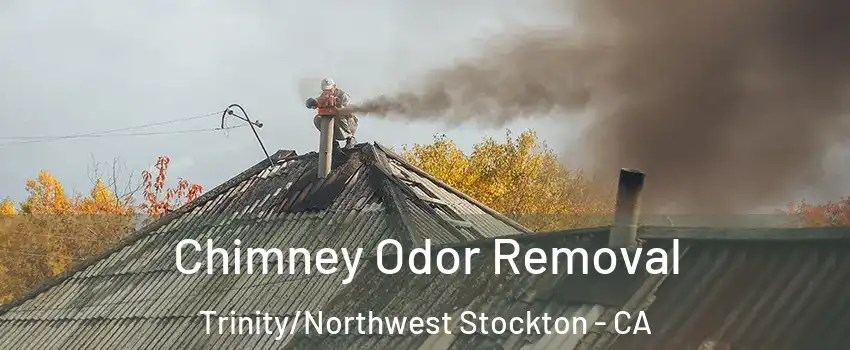 Chimney Odor Removal Trinity/Northwest Stockton - CA