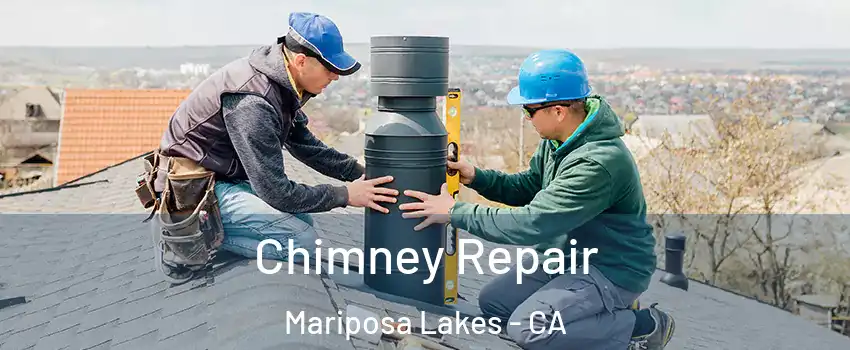 Chimney Repair Mariposa Lakes - CA