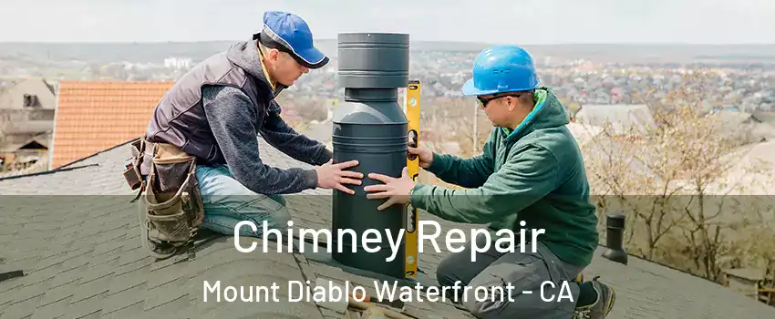 Chimney Repair Mount Diablo Waterfront - CA