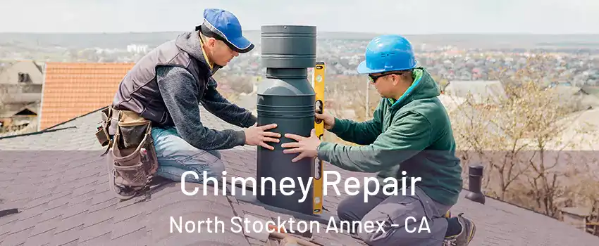 Chimney Repair North Stockton Annex - CA
